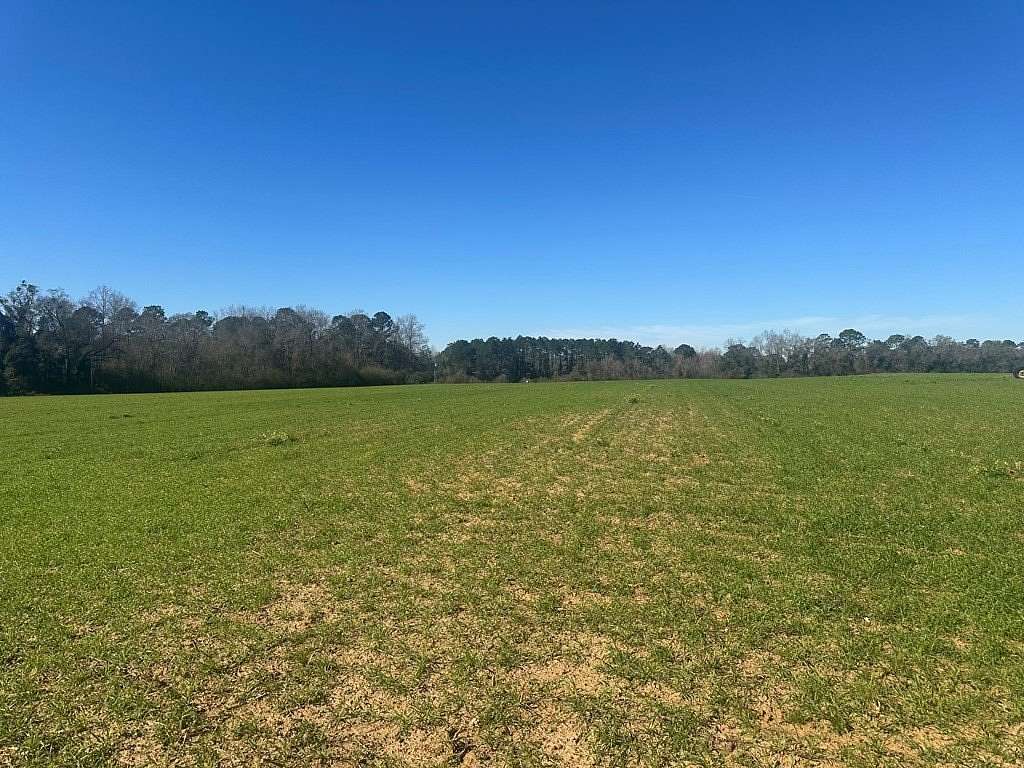62.5 Acres of Recreational & Residential Land for Sale in Meigs, Georgia