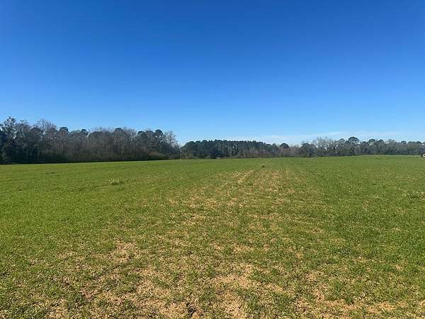 62.5 Acres of Recreational & Residential Land for Sale in Meigs, Georgia
