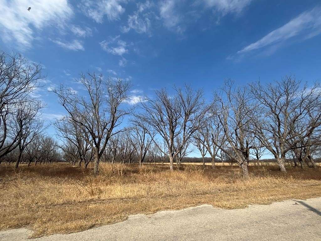 5 Acres of Land for Sale in Quemado, Texas