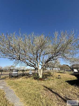 0.42 Acres of Land for Sale in Brownsville, Texas