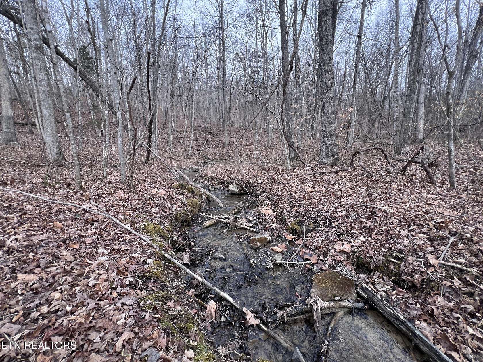 5.16 Acres of Residential Land for Sale in Jamestown, Tennessee