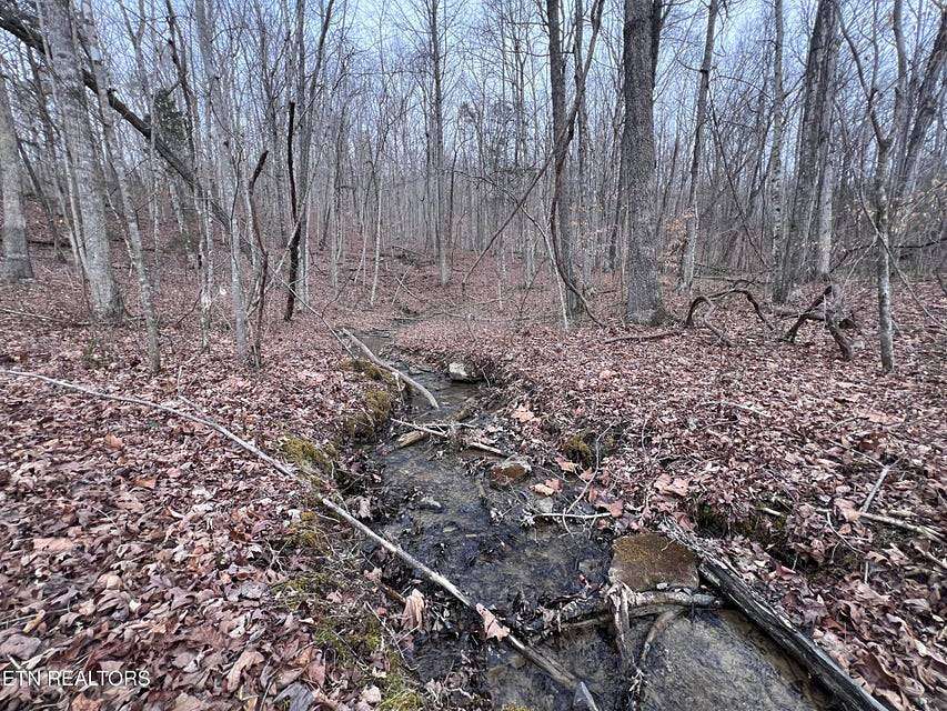 5.16 Acres of Residential Land for Sale in Jamestown, Tennessee