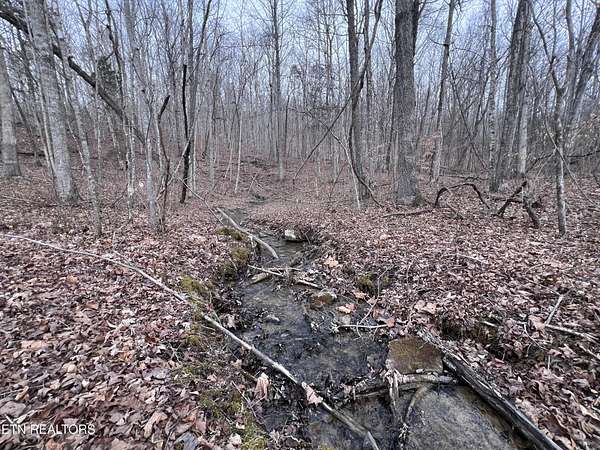 5.16 Acres of Residential Land for Sale in Jamestown, Tennessee