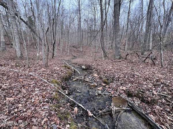 5.16 Acres of Residential Land for Sale in Jamestown, Tennessee