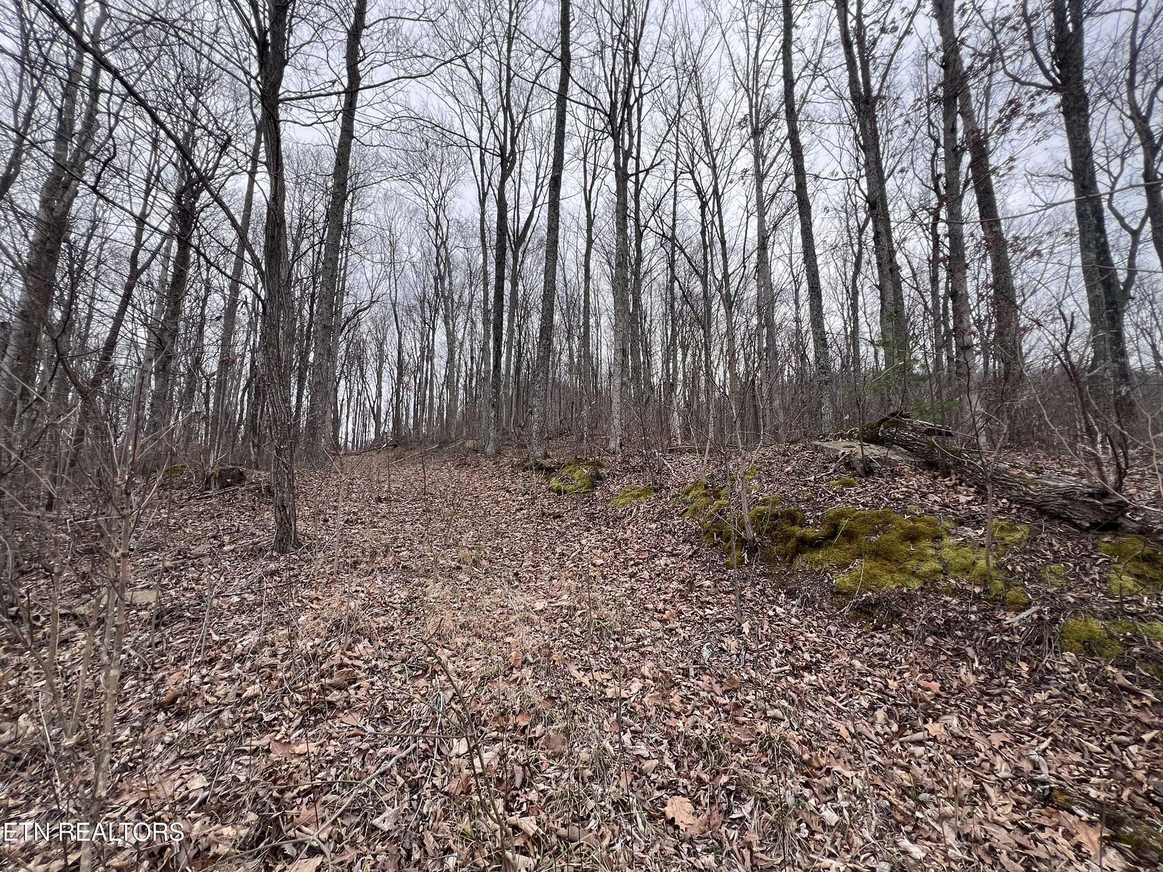6.2 Acres of Residential Land for Sale in Jamestown, Tennessee