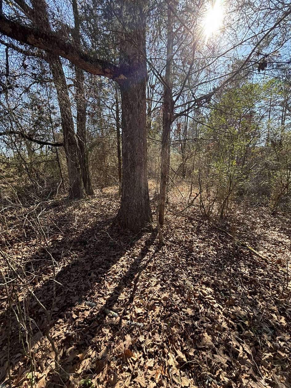 0.01 Acres of Land for Sale in Smithville, Oklahoma