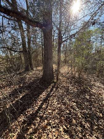 0.01 Acres of Land for Sale in Smithville, Oklahoma