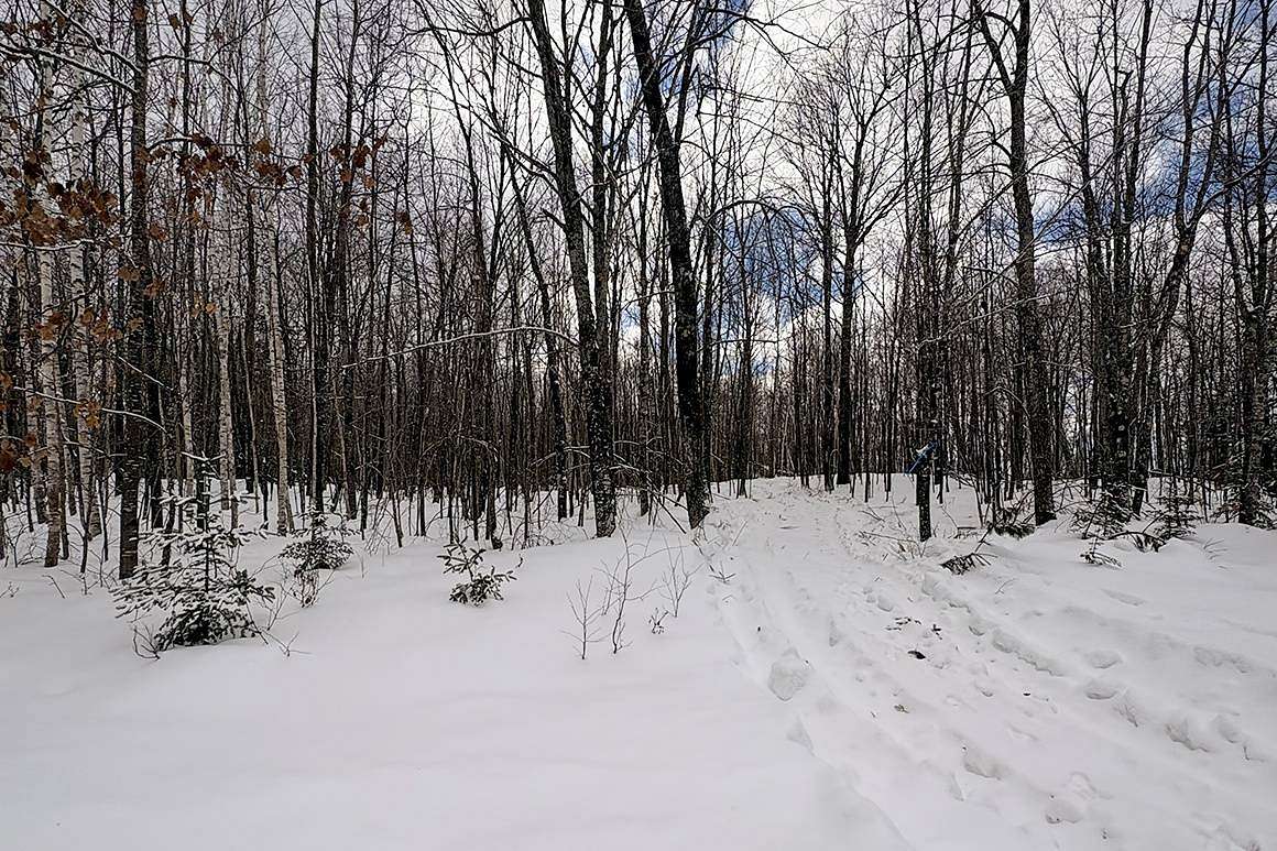 1.9 Acres of Land for Sale in Winter, Wisconsin