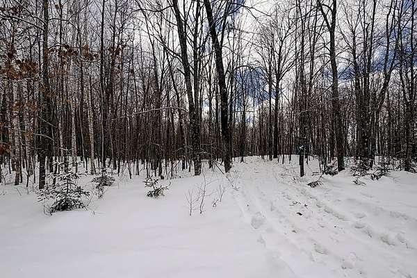 1.9 Acres of Land for Sale in Winter, Wisconsin