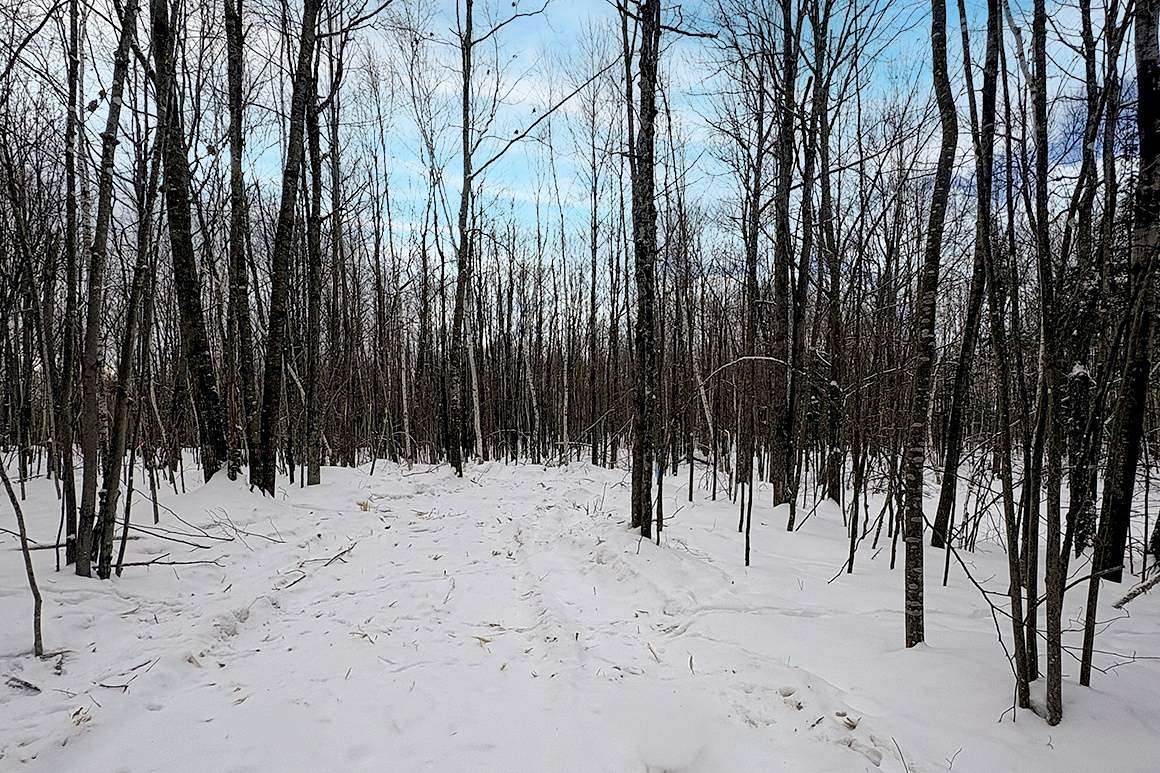 7.73 Acres of Land for Sale in Winter, Wisconsin
