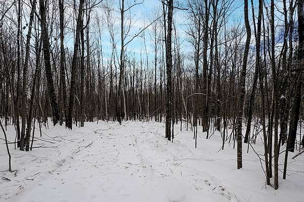 7.73 Acres of Land for Sale in Winter, Wisconsin