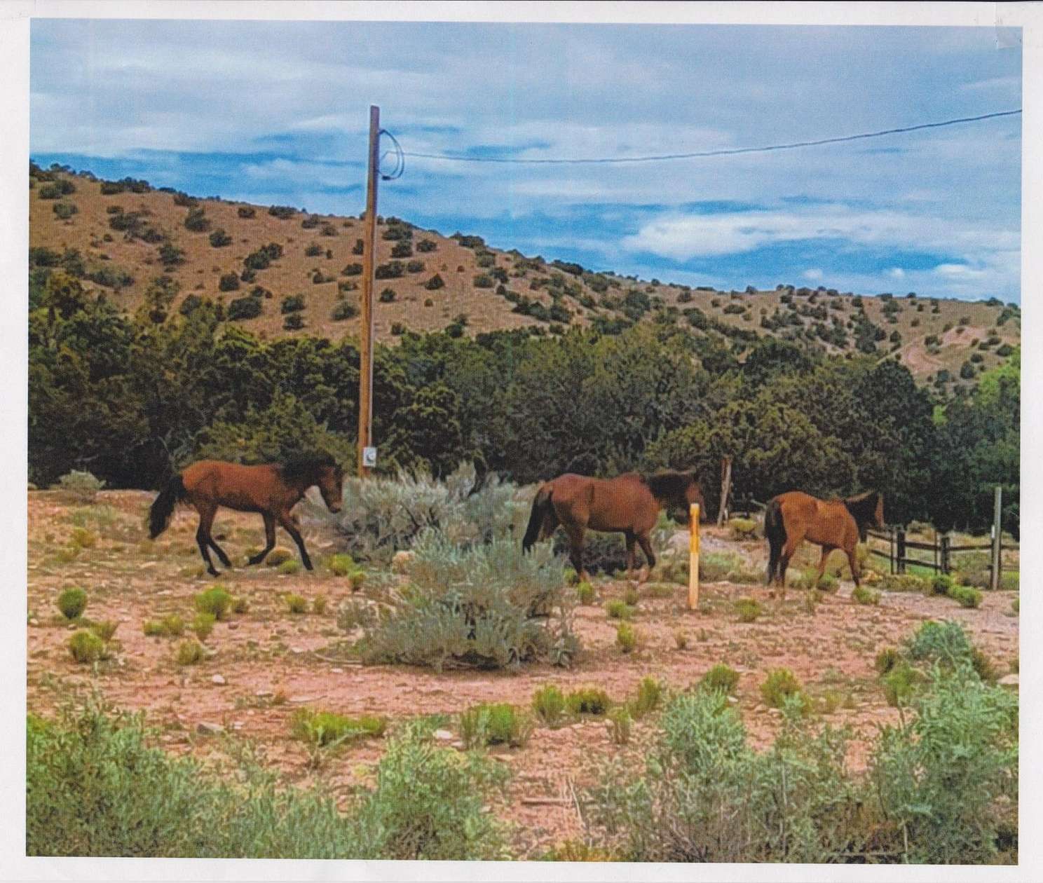 9.6 Acres of Land for Sale in Placitas, New Mexico