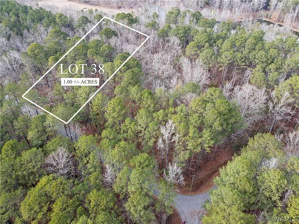 1 Acre of Residential Land for Sale in Northport, Alabama