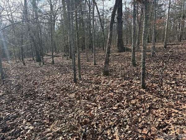 7 Acres of Land for Sale in Yellville, Arkansas