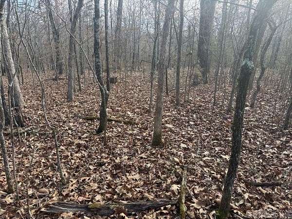 5 Acres of Land for Sale in Yellville, Arkansas