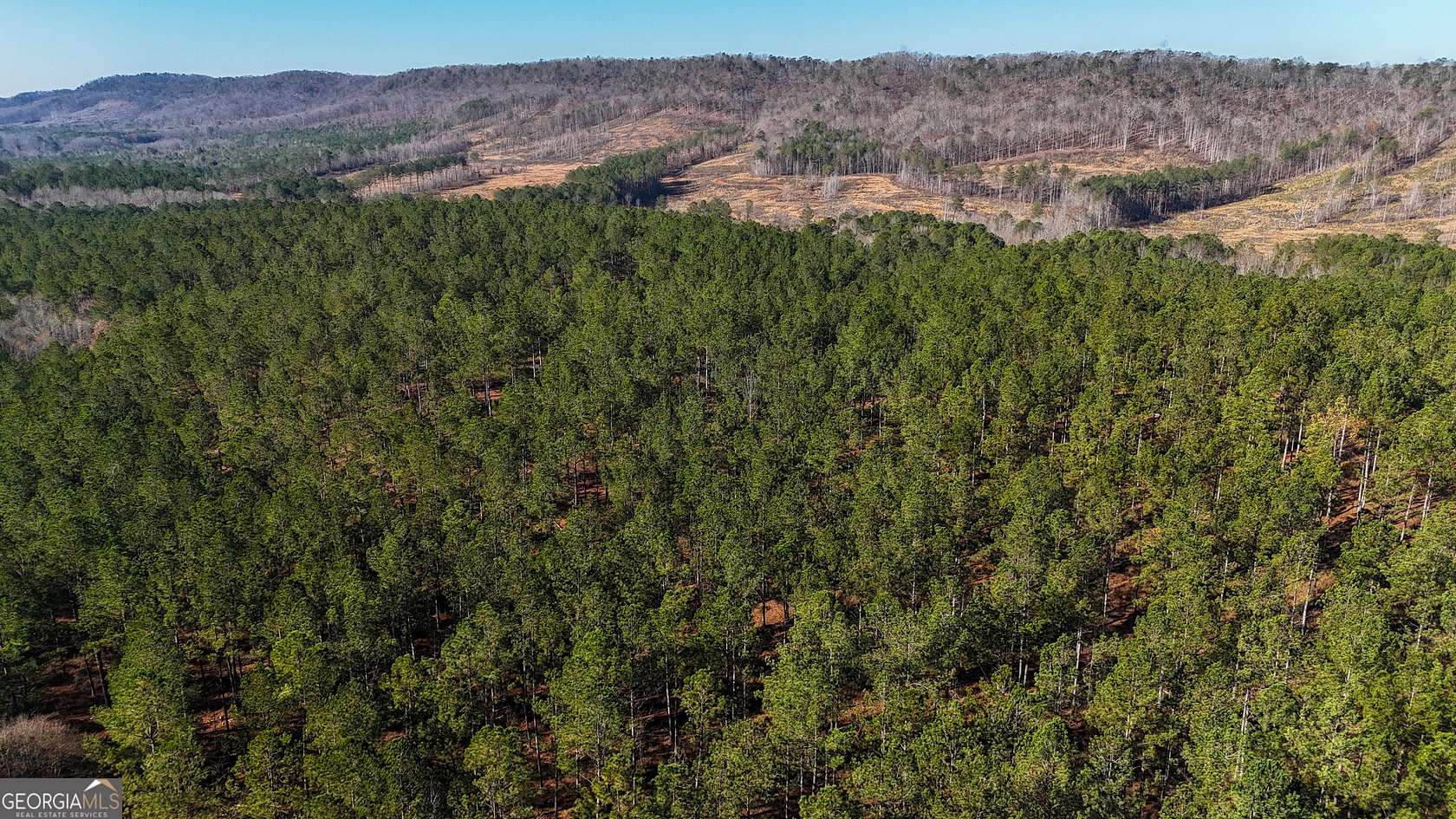 14 Acres of Recreational Land for Sale in Lyerly, Georgia