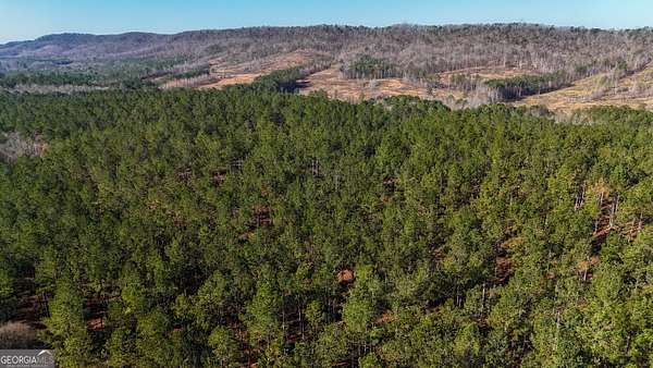 14 Acres of Recreational Land for Sale in Lyerly, Georgia