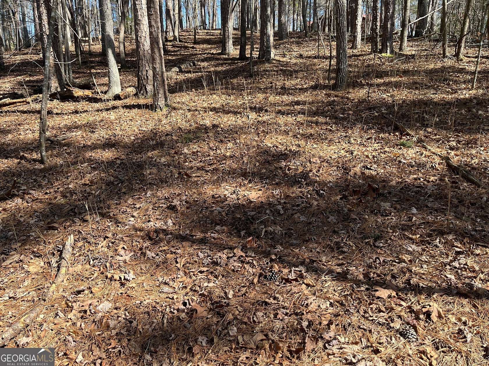 0.34 Acres of Residential Land for Sale in Ellijay, Georgia