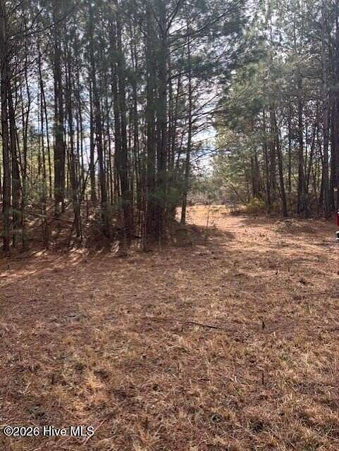 10 Acres of Recreational Land for Sale in Pollocksville, North Carolina