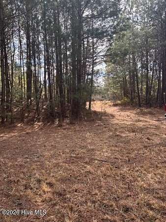 10 Acres of Recreational Land for Sale in Pollocksville, North Carolina