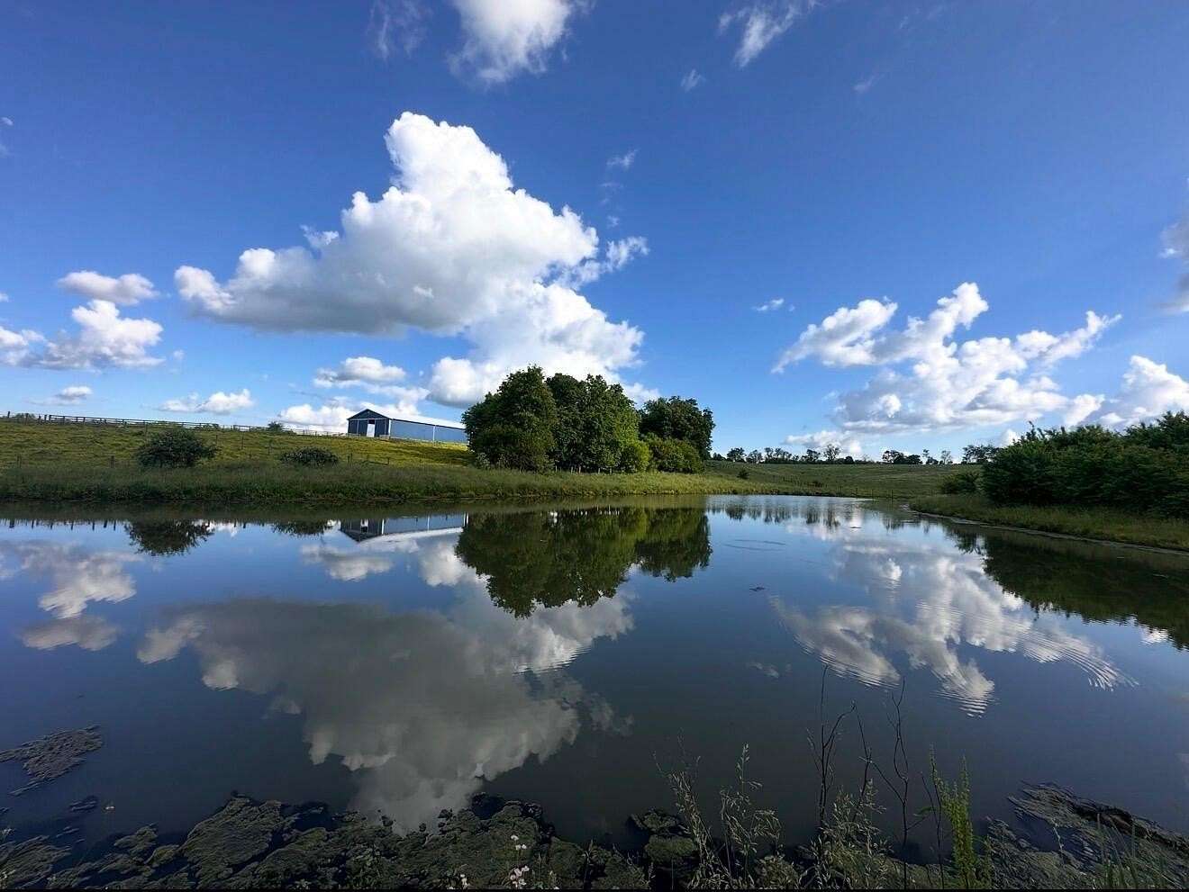 236 Acres of Land with Home for Sale in Cynthiana, Kentucky