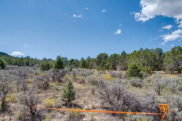 1 Acre of Land for Sale in Indianola, Utah