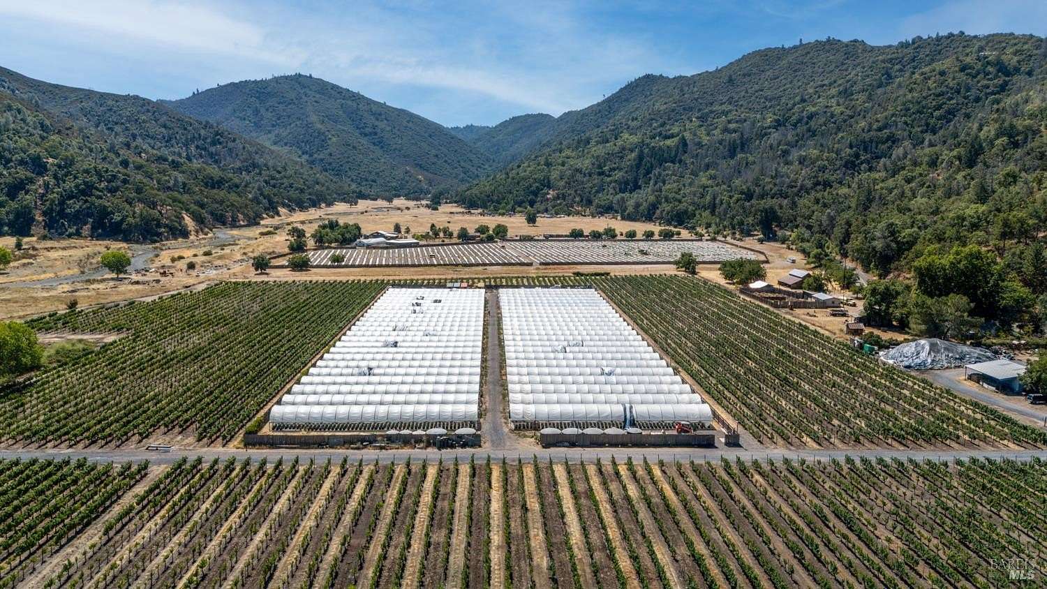 40.5 Acres of Agricultural Land with Home for Sale in Upper Lake, California