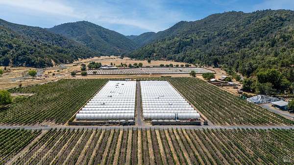 40.5 Acres of Agricultural Land with Home for Sale in Upper Lake, California