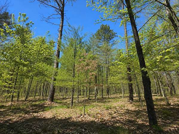 0.83 Acres of Land for Sale in Grayling, Michigan