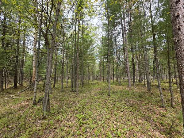0.83 Acres of Land for Sale in Grayling, Michigan