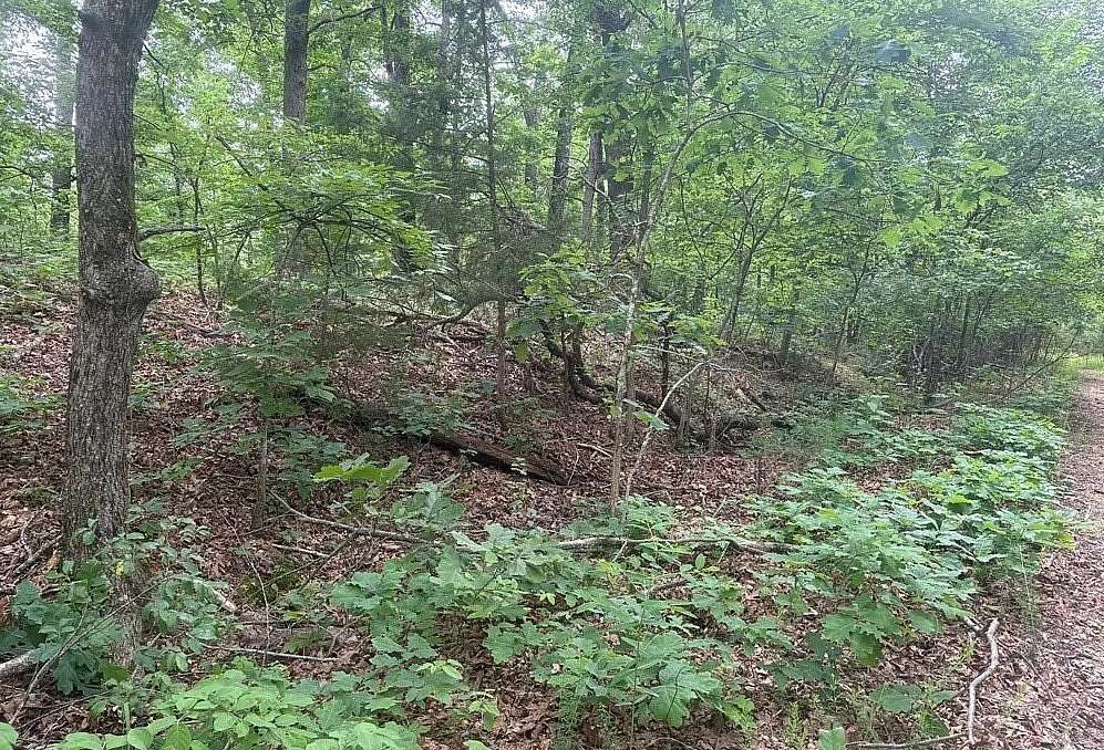 0.35 Acres of Residential Land for Sale in Bella Vista, Arkansas