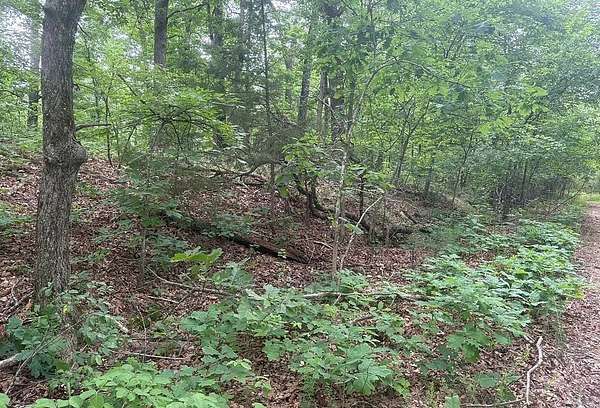 0.35 Acres of Residential Land for Sale in Bella Vista, Arkansas