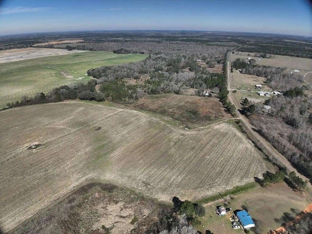 88.5 Acres of Agricultural Land for Sale in Blakely, Georgia