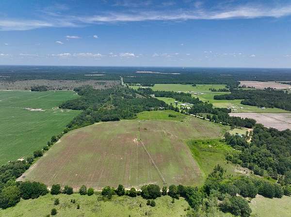88.5 Acres of Land for Sale in Blakely, Georgia