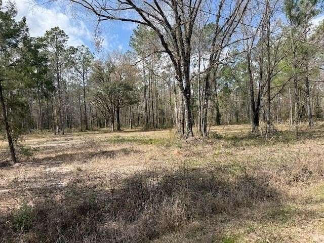 2.27 Acres of Residential Land for Sale in Hastings, Florida