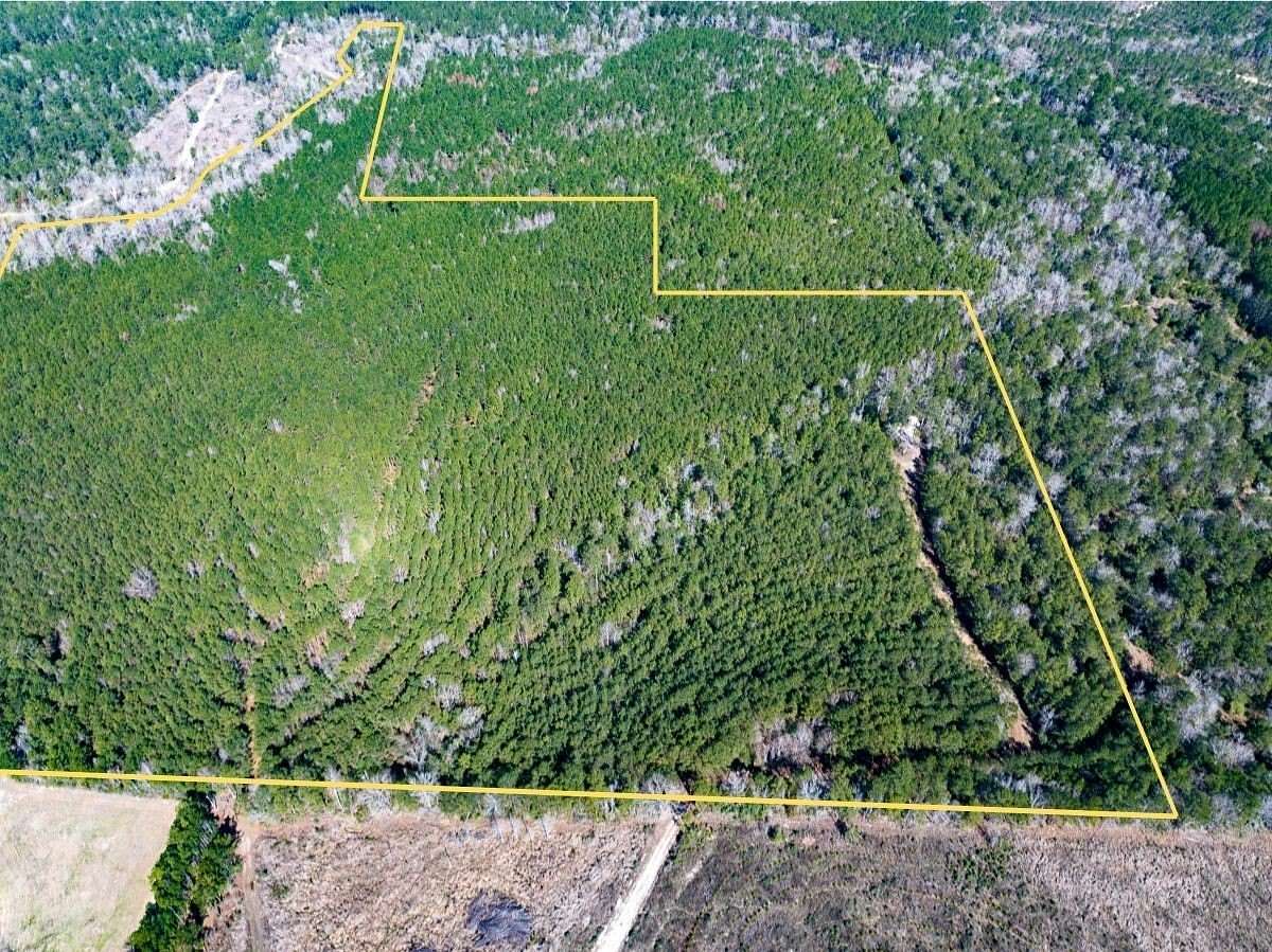 64.2 Acres of Recreational & Residential Land for Sale in Moscow, Texas