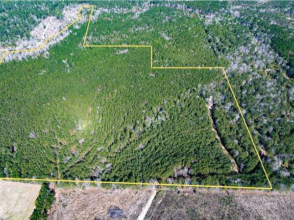64.2 Acres of Recreational & Residential Land for Sale in Moscow, Texas