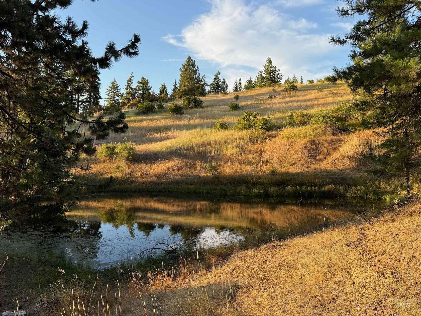 20.2 Acres of Recreational Land for Sale in Orofino, Idaho