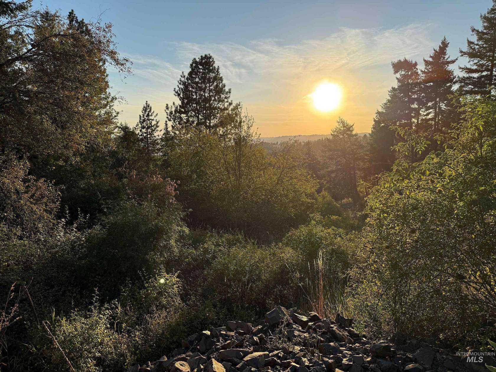 20.2 Acres of Recreational Land for Sale in Orofino, Idaho