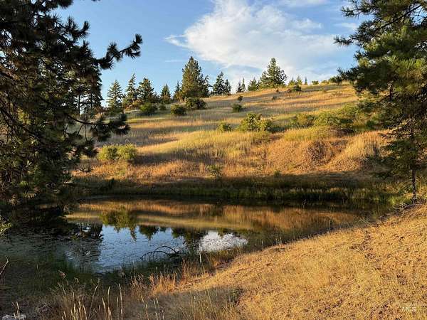 20.2 Acres of Recreational Land for Sale in Orofino, Idaho