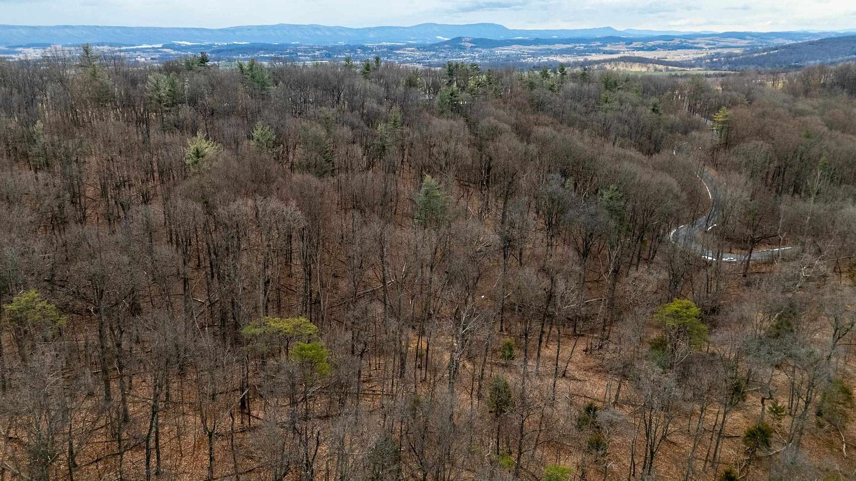 12.8 Acres of Land for Sale in Timberville, Virginia