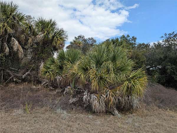 0.23 Acres of Commercial Land for Sale in North Port, Florida