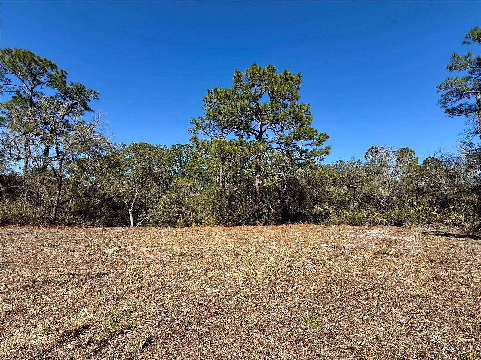 1 Acre of Residential Land for Sale in Eustis, Florida