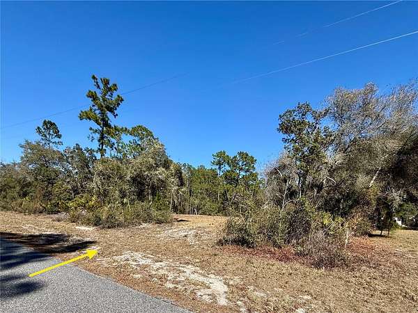 1 Acre of Residential Land for Sale in Eustis, Florida