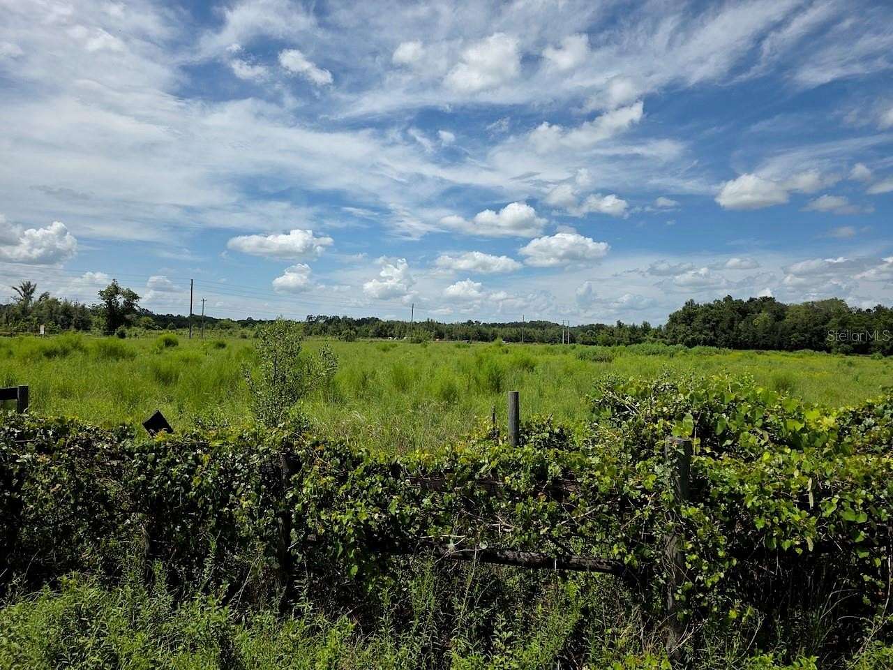 68 Acres of Land for Sale in Williston, Florida