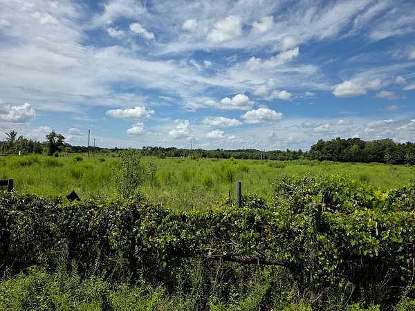 68 Acres of Land for Sale in Williston, Florida