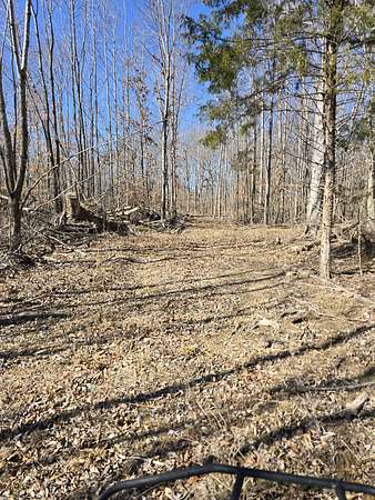 20 Acres of Recreational Land for Sale in Indian Mound, Tennessee