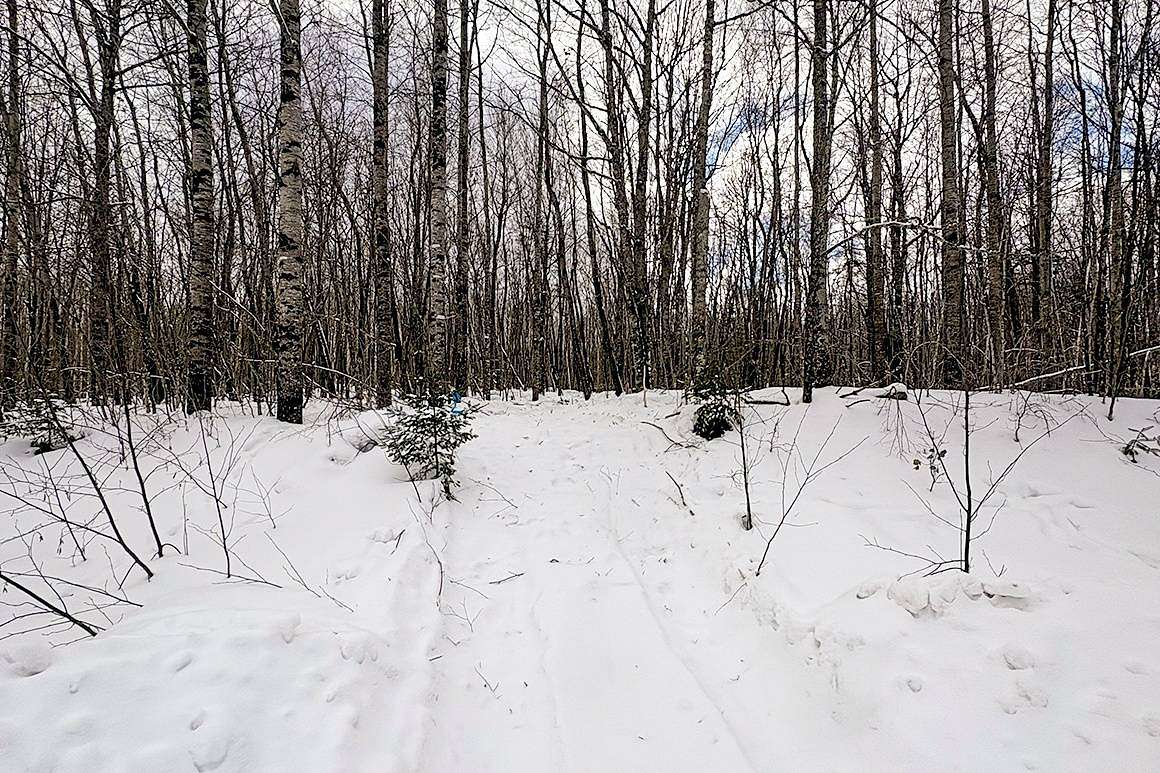 1.9 Acres of Land for Sale in Winter, Wisconsin