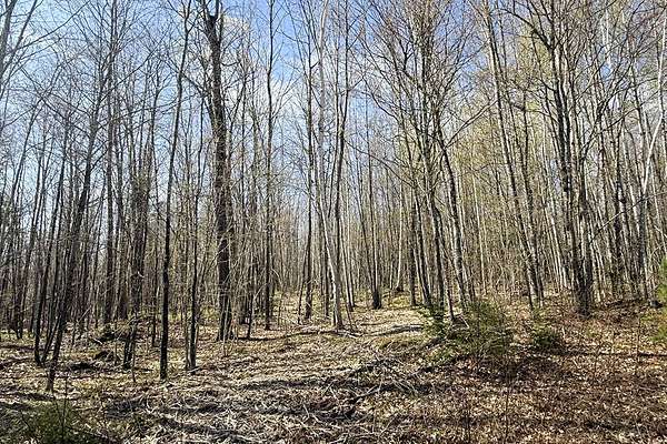 1.9 Acres of Residential Land for Sale in Winter, Wisconsin
