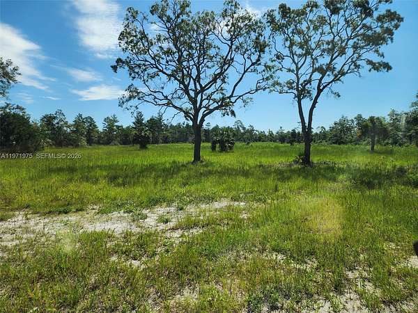 5 Acres of Mixed-Use Land for Sale in Perry, Florida